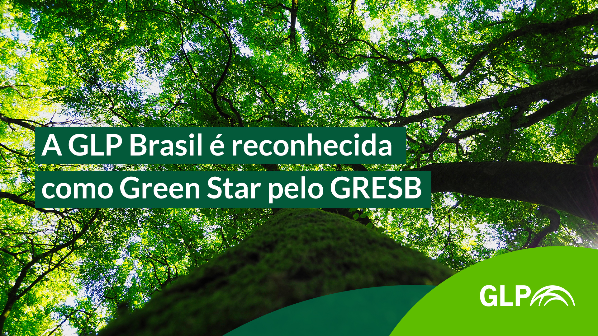 imagem de uma árvore com o texto "A GLP Brasil é reconhecida como Green Star pelo GRESB"